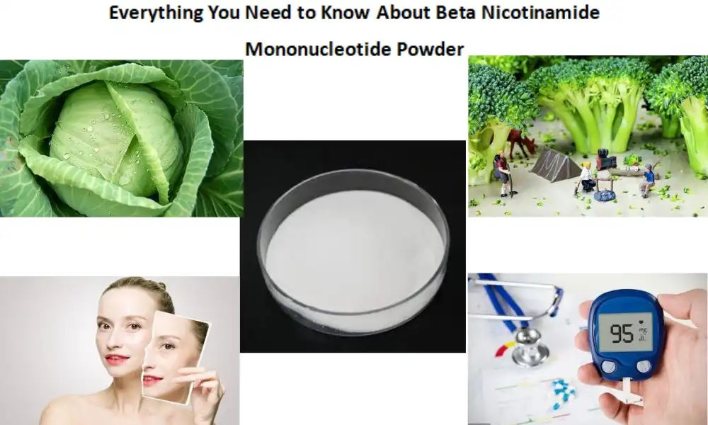 Everything You Need to Know About Beta Nicotinamide Mononucleotide Powder